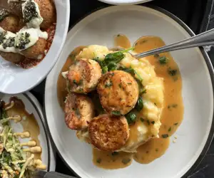 seafood scallop special